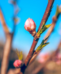 Similar image 13002666