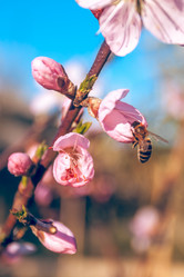 Similar image 13002668