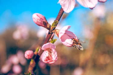 Similar image 13002669