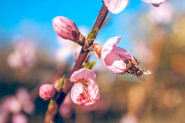 Similar image 13002670