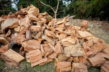 Similar image 13002672