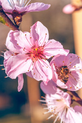 Similar image 13002674