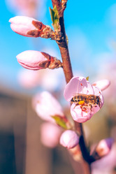 Similar image 13002675