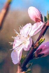 Similar image 13002676