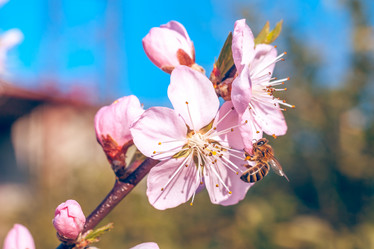 Similar image 13002677