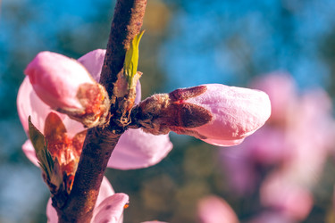 Similar image 13002679