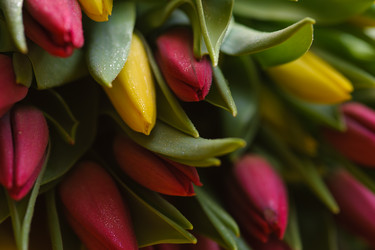 Similar image 13046418