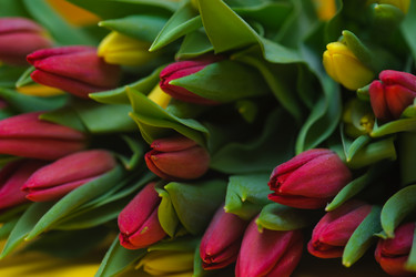 Similar image 13046424