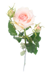 Similar image 13038945