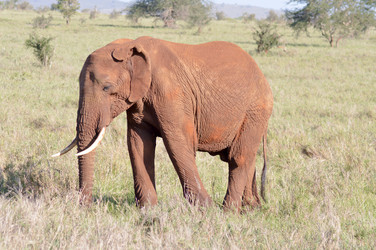 Similar image 13012088