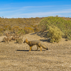 Similar image 13003048