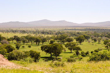 Similar image 13012090