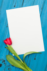 Similar image 13001283