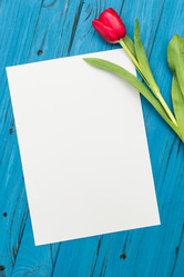 Similar image 13001285