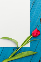 Similar image 13001288