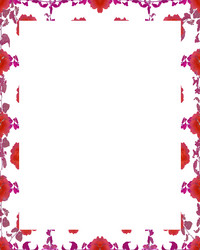 Similar image 13003077