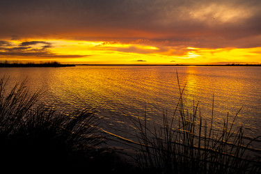 Similar image 13011846