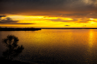 Similar image 13011847