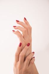 Similar image 13022231