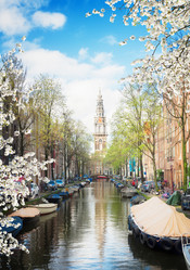 Similar image 13038479