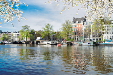 Similar image 13038847