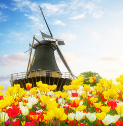 Similar image 13038889