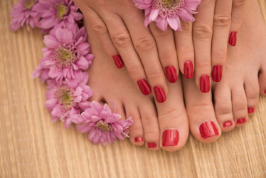 Similar image 13040832