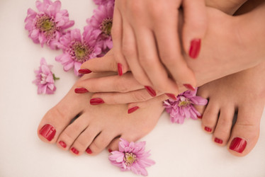 Similar image 13019090