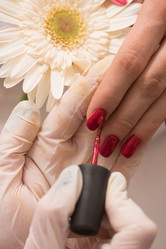 Similar image 13020446