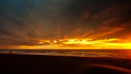 Similar image 13011931