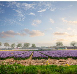 Similar image 13023602