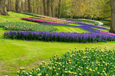 Similar image 13039262