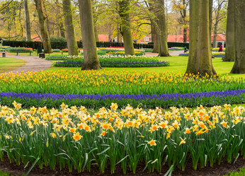 Similar image 13039263