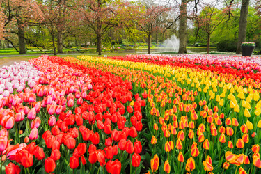 Similar image 13017073