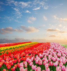 Similar image 13017074