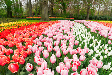 Similar image 13017075