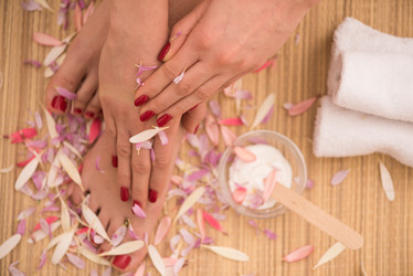 Similar image 13020840