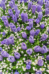 Similar image 13046124