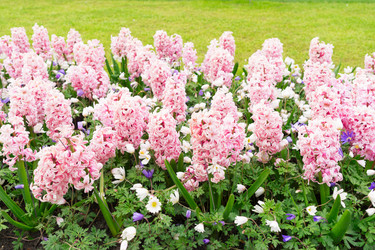 Similar image 13046146