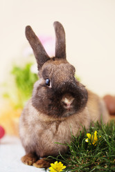 Similar image 13034310