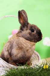 Similar image 13046191