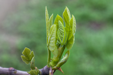 Similar image 13045909