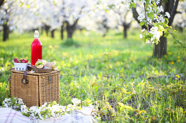 Similar image 13005337