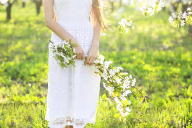 Similar image 13005507