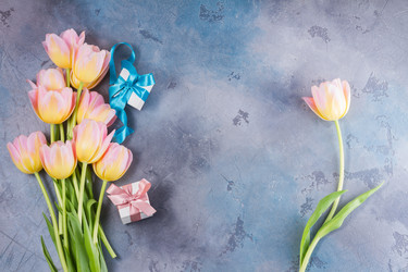 Similar image 13023702