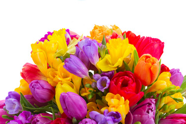 Similar image 13038873