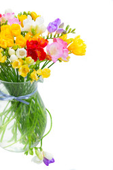 Similar image 13039068