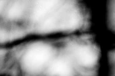 Similar image 13046834