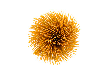 Similar image 13046835