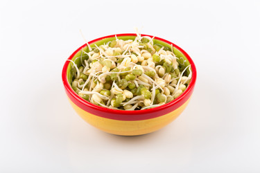 Similar image 13046937